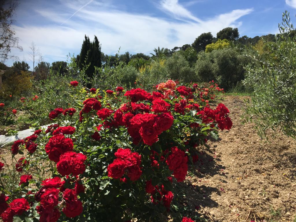 Le Clos De La Chevre Sud La Cadiere-d'Azur Exterior photo